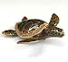 Wild Sea Turtle Box Swarovski Crystals Hawaiian Green Loggerhead Flatback Hawksbill Box Brown Ocean Tortoise Figurine Certificate of Authenticity 
