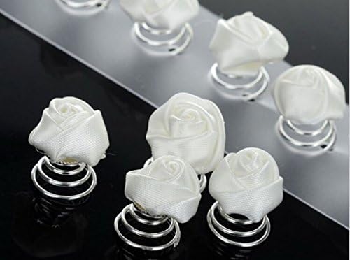 Mujeres Divinas 20pcs Clear Crystal Swirl Hair Twists Coils Spirals Hair Pin Clip Accessories