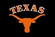 University of Texas Longhorns Indoor/Outdoor Floormat