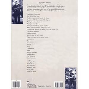 Beginning Fingerstyle Blues Guitar (Guitar Books)