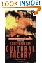 Contemporary Cultural Theory: An Introduction