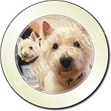 WEST HIGHLAND TERRIERS Tax Disc Holder