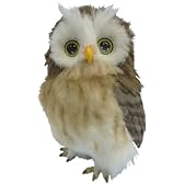 夢ふくろう