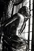 Torchbearer II by Donna Cameron - 10 x 6 5/8 image inches - Fine Art Print / Poster Image