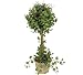 Pre-Potted 22" Artificial Curly Ivy Topiary Plants