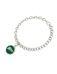 North Dakota State Bison Jewelry Sterling Silver Enamel Charm Bracelet.
