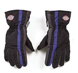 FORTRESS PRODUCTS INC D06BBLU-XL DICKIES WINTER GLOVE