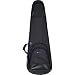 Protec CONTEGO BASS GUITAR-BLACK