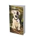Jack Russell Terriers 2010 Weekly Pocket Planner (Multilingual Edition)
