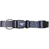 Hamilton 1-Inch Adjustable Dog Collar Fits 18-Inch to 26-Inch with Brushed Hardware Ring, Large, Graphite