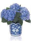 Rhapsody in Blue Hydrangea, Plant with cachepot