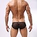 Dominik See-through Sheer Mesh Boxer Briefs, Mens, Black (4117)