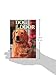 Dog at the Door (Animal Ark #25)