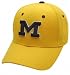 Michigan Wolverines ''M'' Gold DH Hat