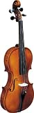 Strunal 193W Violin, 4/4, Violin Only¹