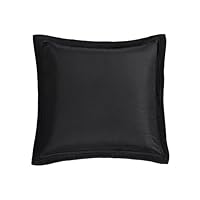 Echo Brushstroke Euro Sham