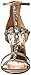 Badgley Mischka Women's Giovana II Dress Sandal