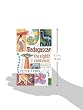 Madagascar : The Eighth Continent(Bradt Travel Guides (Travel Literature))