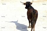 'Bull' Wall Decal - 36"W x 24"H Removable Graphic