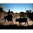 Cowboy On Horse w/ steer Art Print Poster Rodea - 13x19