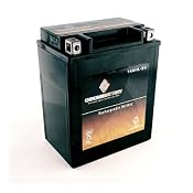 Amazon.com: YTX14AHL-BS Motorcycle Battery for GILERA Nordwest 600CC 93: Automotive