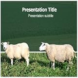 Sheep Farming Powerpoint (PPT) Templates - Sheep Farming Powerpoint Background