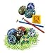 Ukrainian Egg Decorating Kit