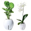 Grobal Self-Watering Flower Pots - White Snow
