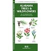 Alabama Trees & Wildflowers: An Introduction to Familiar Species (A Pocket Naturalist Guide)
