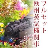 【ビッグスケールラジコン 欧州蒸気機関車】 名車99 6001 ガーデニング・庭園鉄道