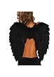 Feather Wings