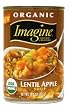 Imagine Organic Lentil Apple Soup, 14.5-Ounce Can (Pack of 12)