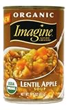 Imagine Organic Lentil Apple Soup, 14.5-Ounce Can (Pack of 12)