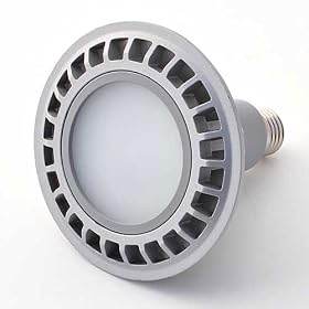 Dimmable PAR38 15 Watt LED Wide Angle Flood Light Standard Screw Base,warm white 1322WW-DM