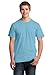 Fruit of the Loom 5 oz. 100% Heavy Cotton HD T-Shirt