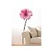 Plage® Gerbera (Gerber Daisy)