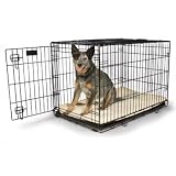 Petco Classic 1-Door Dog Crate
