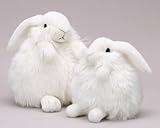 Knowing God: Walking through the Book of Books