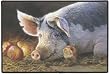 Lady Marmalade Pig Doormat Door Mat Rug Bonnie Marris