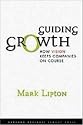 Guiding Growth: How Vision Keeps Companies on Course