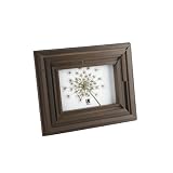 umbra TIMBER FRAME�i�e�B���o�[ �t���[���j S �G�X�v���b�\
