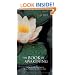 The Book of Awakening: Having the Life You Want by Being Present to the Life You Have