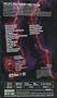 Motley Crue - Lewd Crued & Tattooed [VHS]