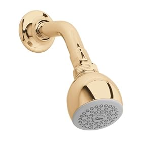 American Standard 8888.074.099 Easy Clean Showerhead with Arm and Flange, Polished Brass by American Standard
