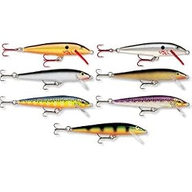 Maurice Sporting Goods #F09S Rapala 09 Silver Fish Lure by 