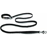 Ruffwear Roamer Leash for Pets, Large, Obsidian Black