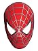 Spiderman Masks (Supplies 6)