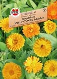 Eigenschaften Sperli  / Ringelblume, Wilde Schönheit