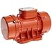 Oli Vibrator Electric Vibrator Motor, Three Phase, 2 Poles, 3600 RPM