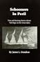 Schooners In Peril: True and Exciting Stories About Tall Ships on the Great Lakes